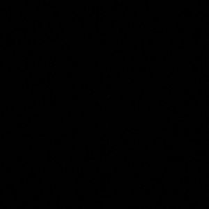 Meet your Posher, Lynsie ann